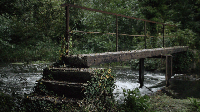 The Importance Of Moments Of Tranquility