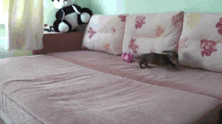 10-Minute Routine DOUBLES Your Energy Levels