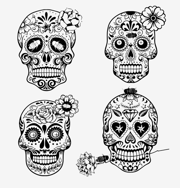 “find the dubias“ hiding in the day of the dead skull graphic