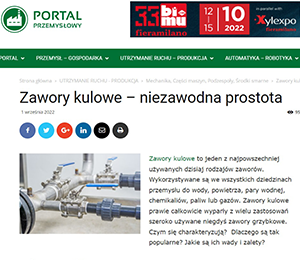 Artykuł - obraz