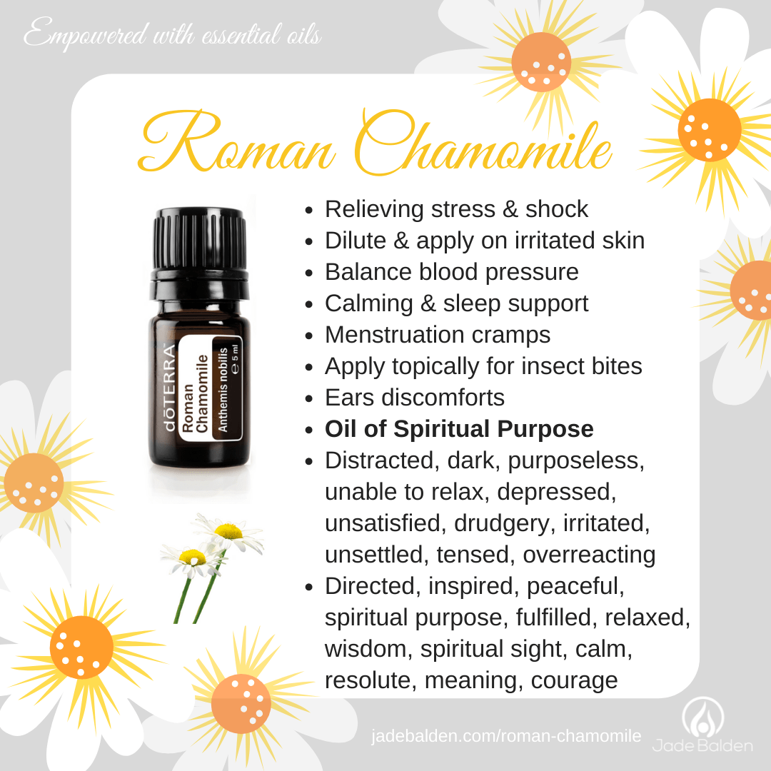 https://jadebalden.com/roman-chamomile/