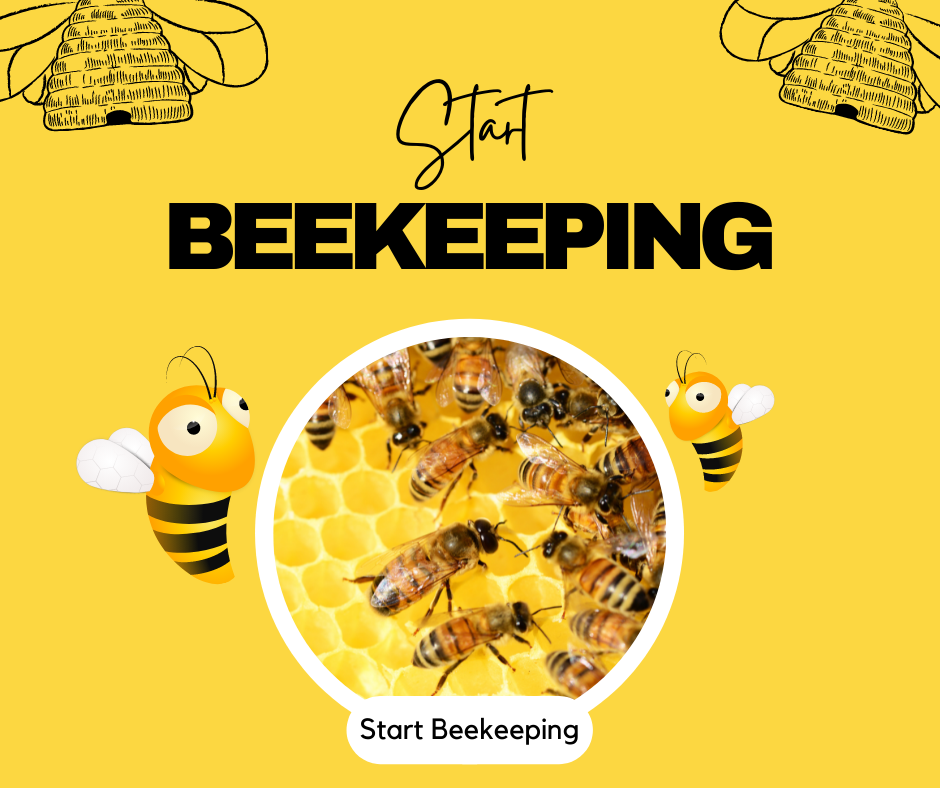 How to get bees and start bee farming...