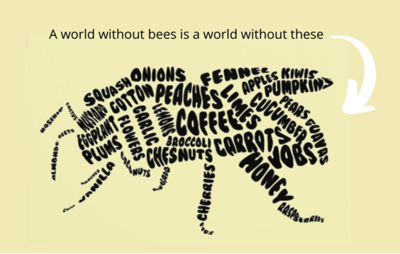 A World Without Bees 