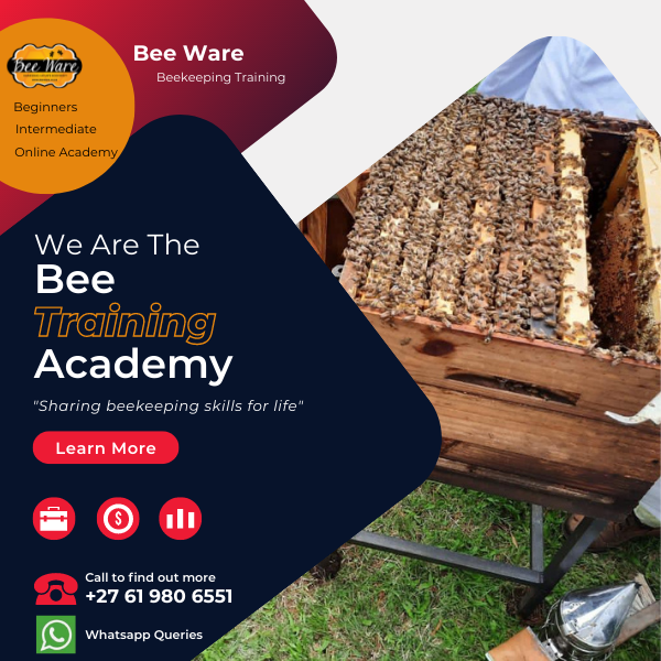 Start beekeeping Online Academy