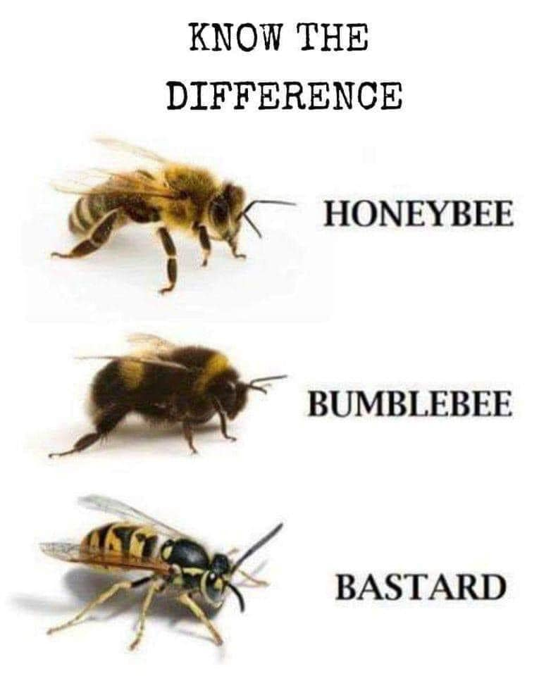 Know the difference...