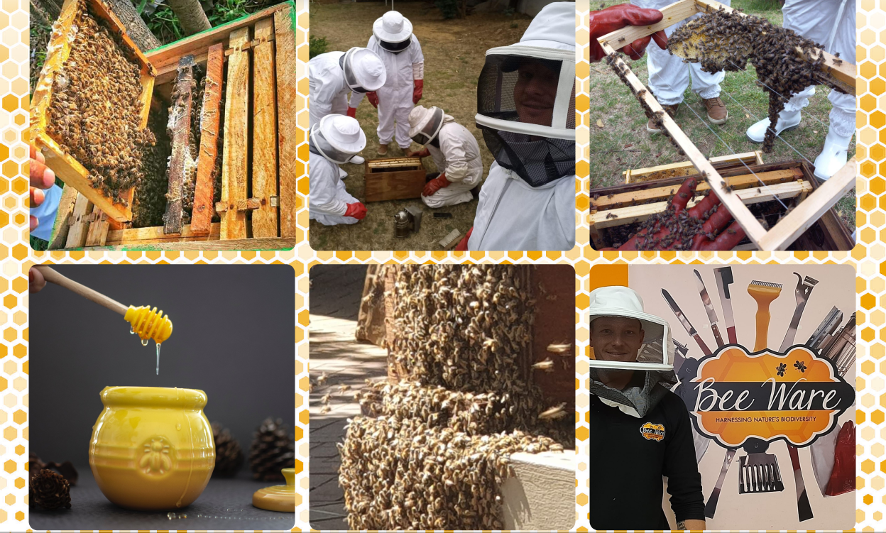 Bee Ware® Beekeeping Collage (c) 2021