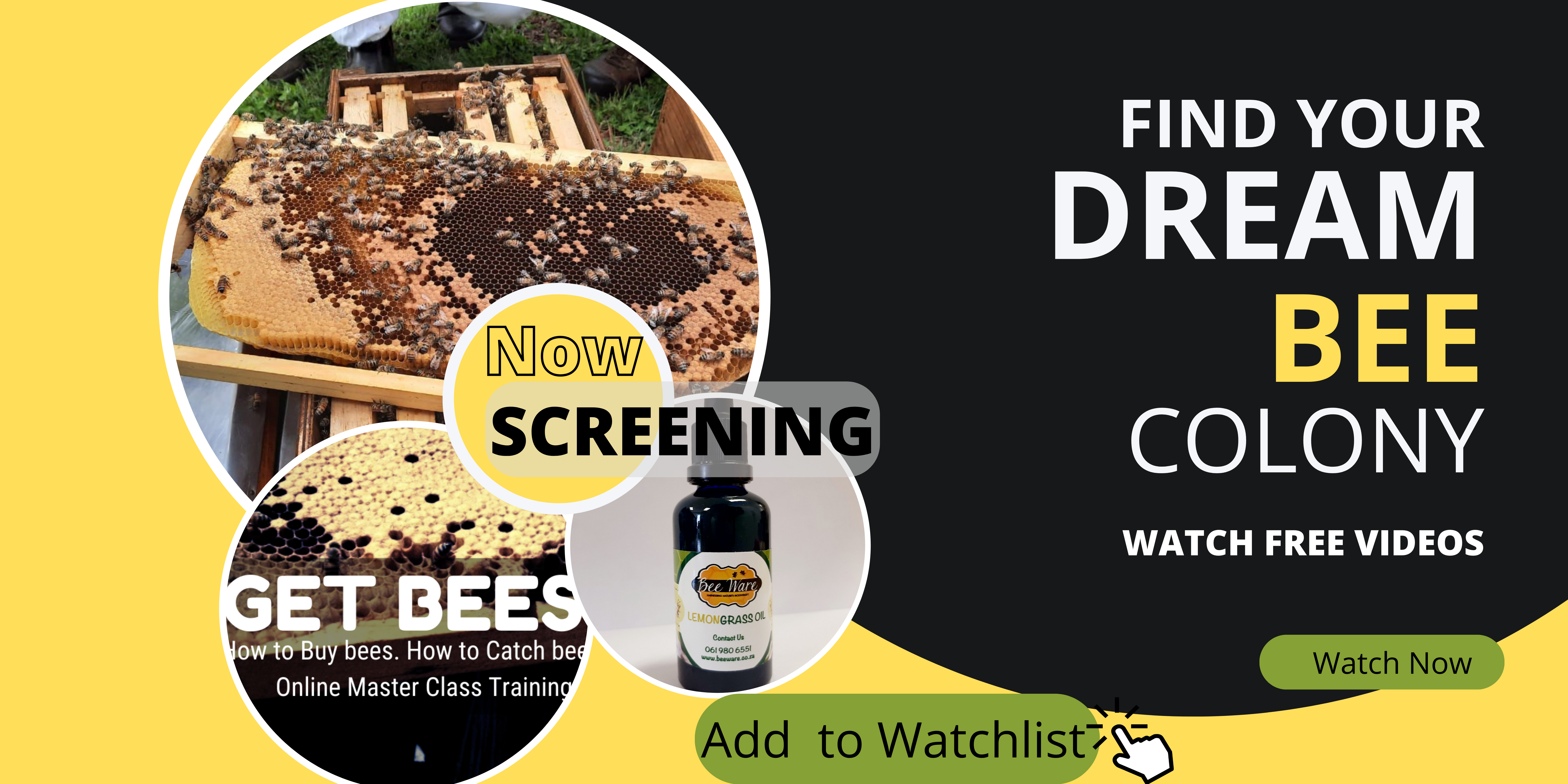 Watch O-Bee-Wan Share His Top 3 Methods To Get Bees!