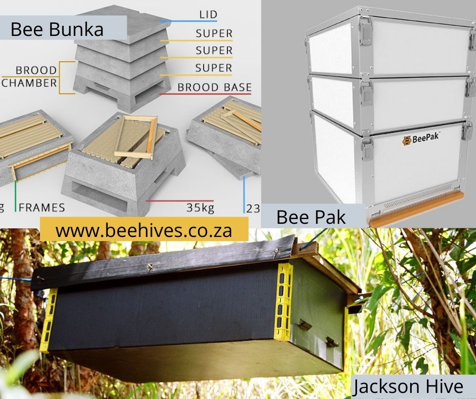 Bee Hives from South Africa