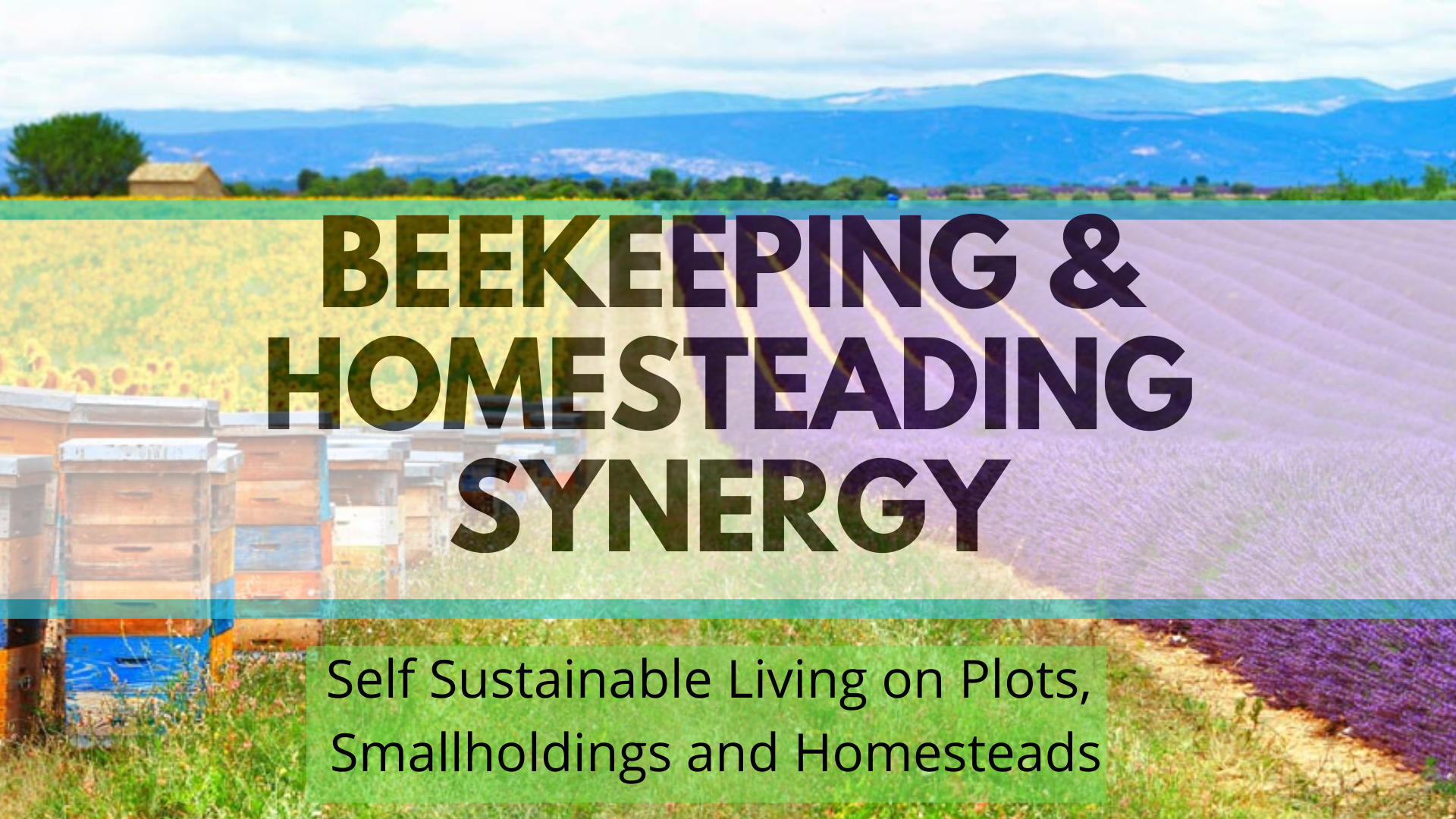 Beekeeping and Homesteading Zoom Talks LIVE