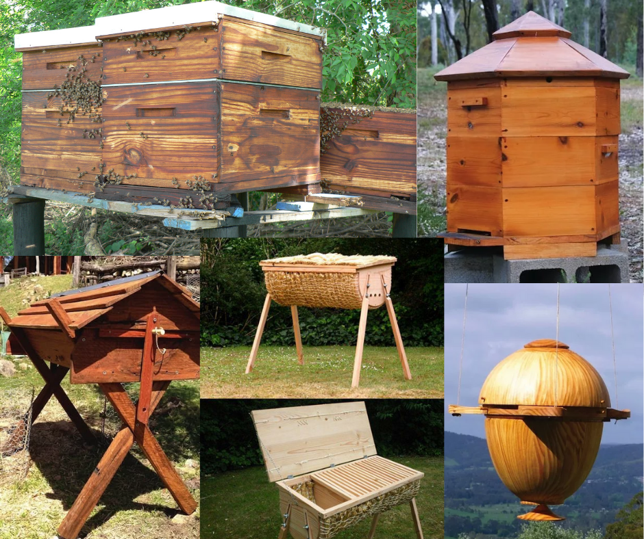 Types of bee hives