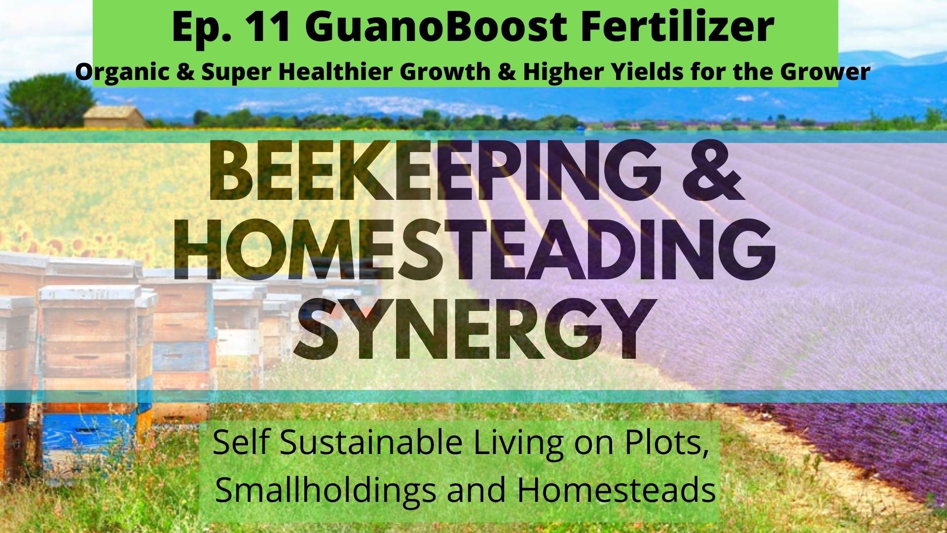 Guano Bird Fertiliser 100% Organic Boost!