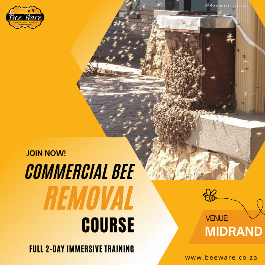 Bee Removal Courses in Midrand