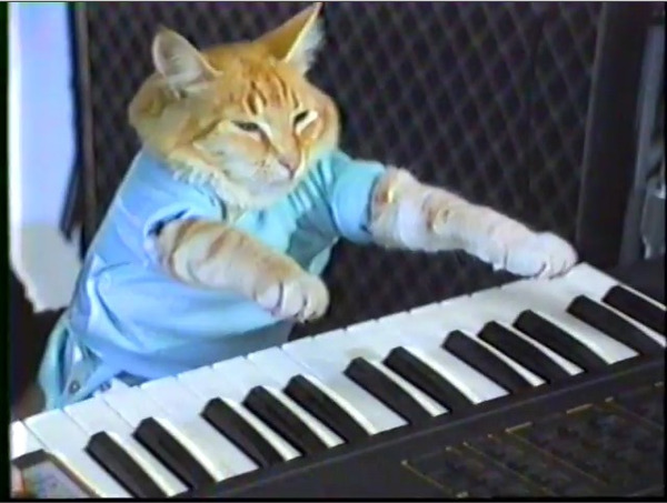 Keyboard Cat