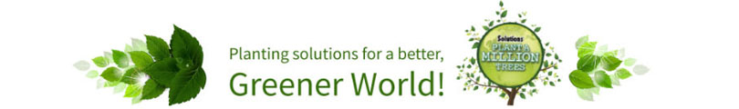 Planting solutions for a better, Greener World! Plant a Million Trees!