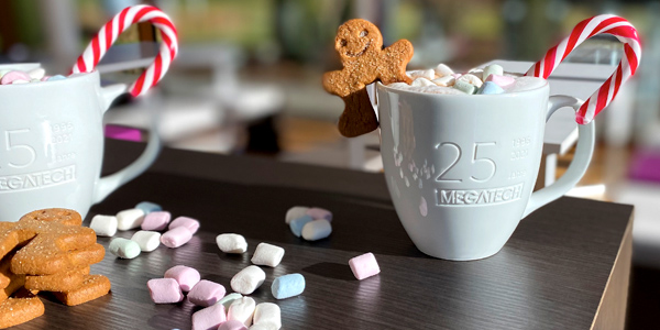 25 Jahre MEGATECH
