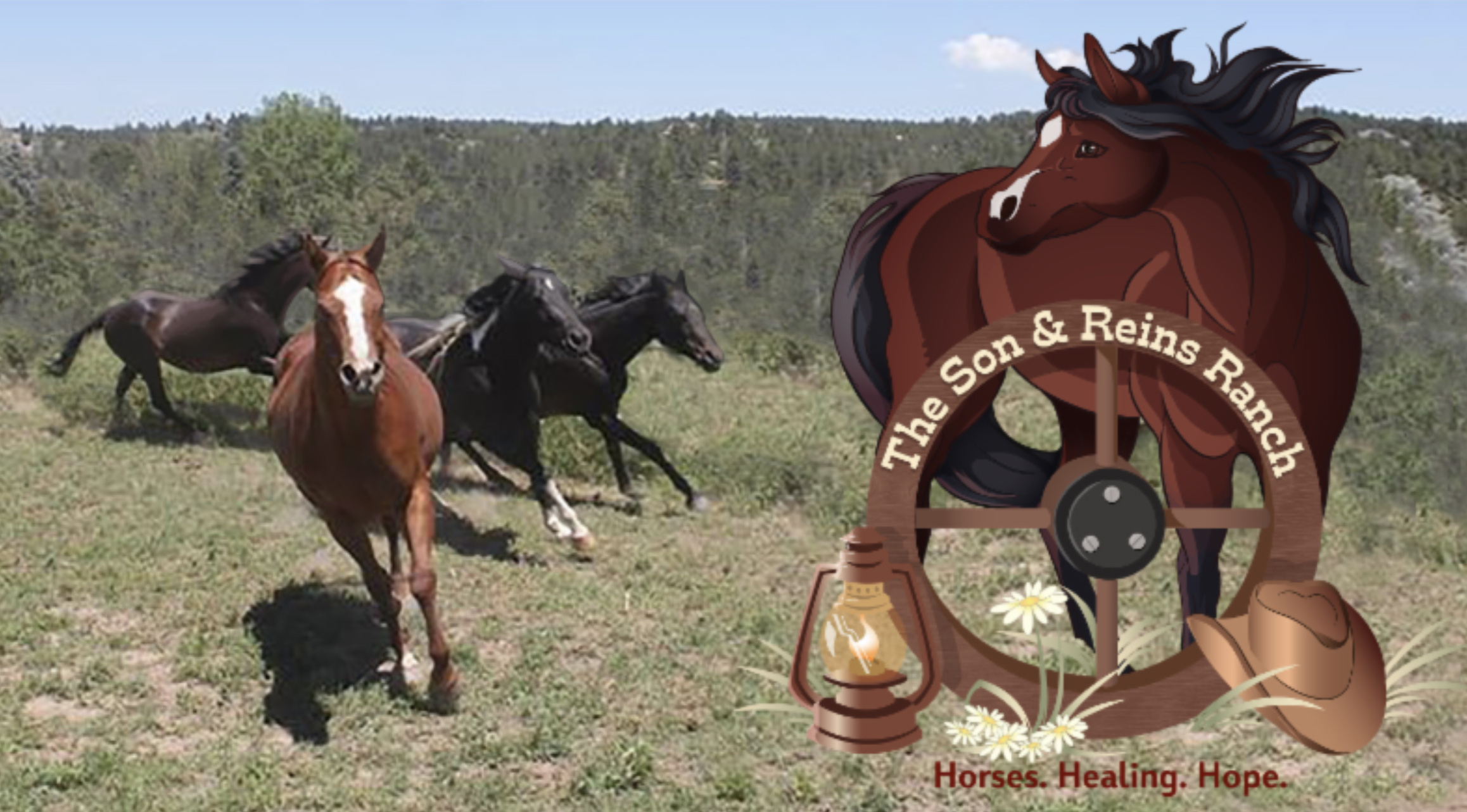 The Son and Reins Ranch logo with photo of our horses running